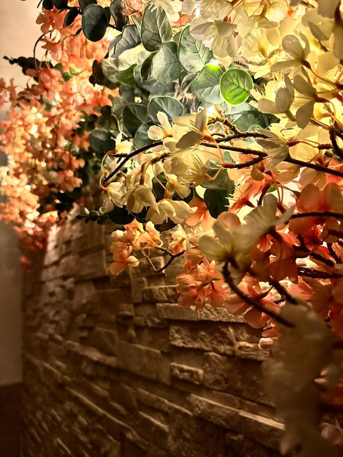 Ferienwohnung Bulle De Charme Avec Vue Perpignan Exterior foto